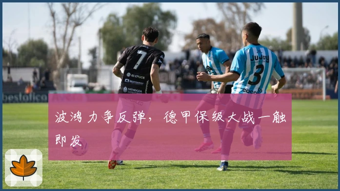 波鸿力争反弹，德甲保级大战一触即发