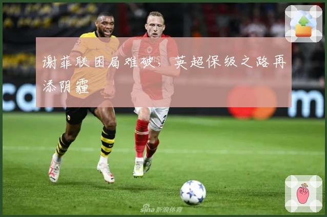 谢菲联困局难破，英超保级之路再添阴霾